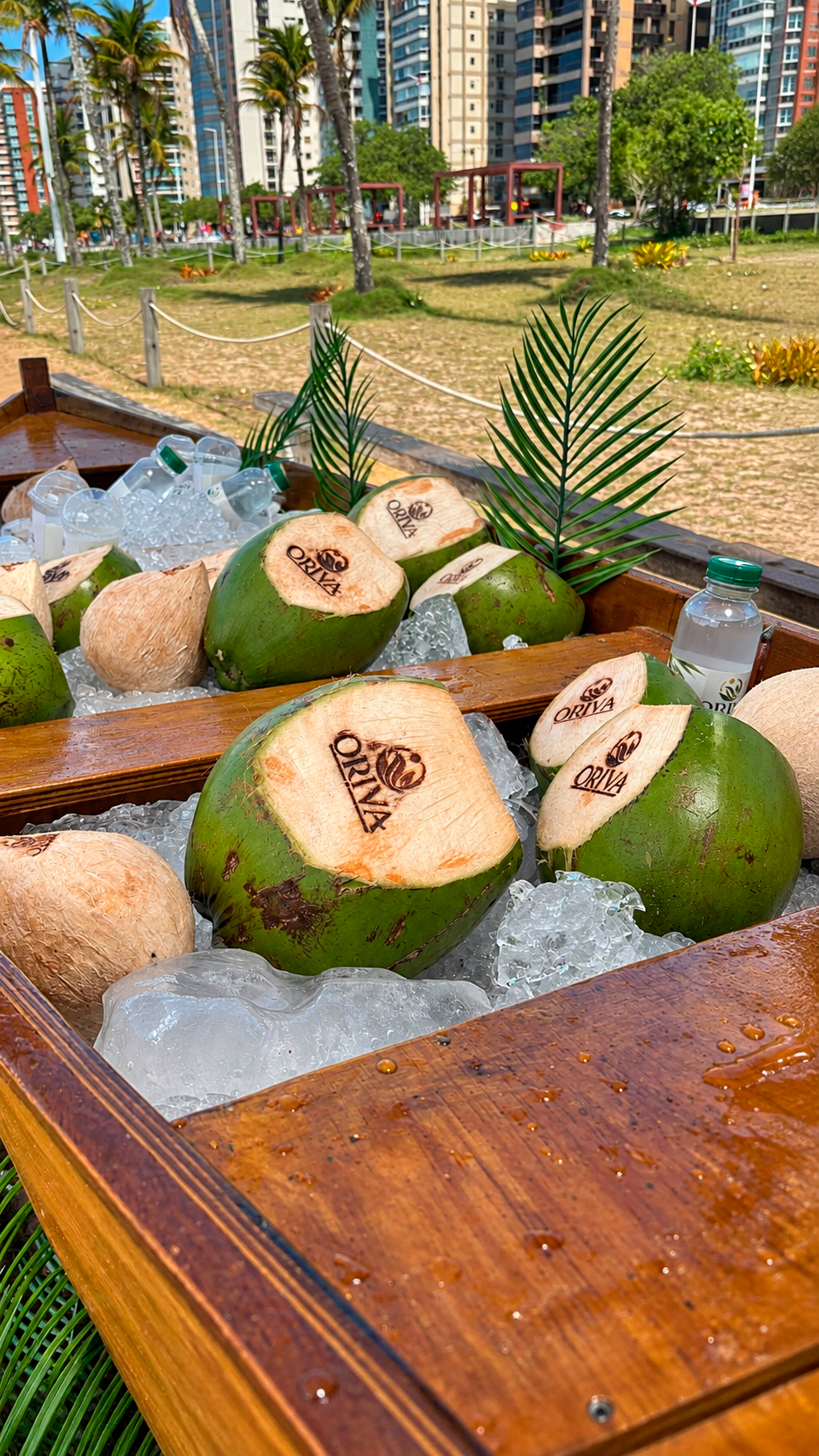 Canoa Oriva com cocos personalizados em evento à beira-mar